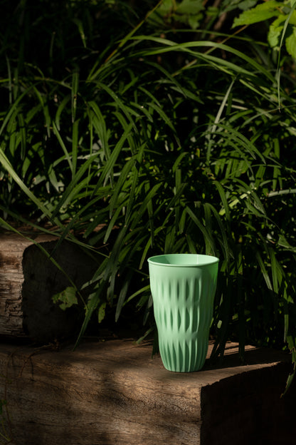 Cactus Cup