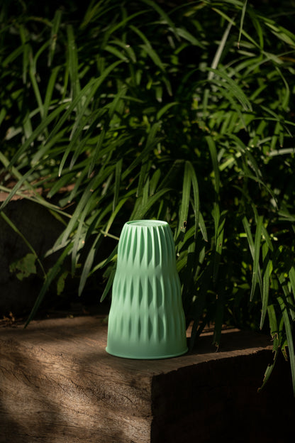 Cactus Cup